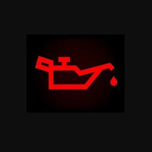 cuando se enciende ésta luz se debe hacer inmediatamente un mantenimiento del aceite de motor del coche
